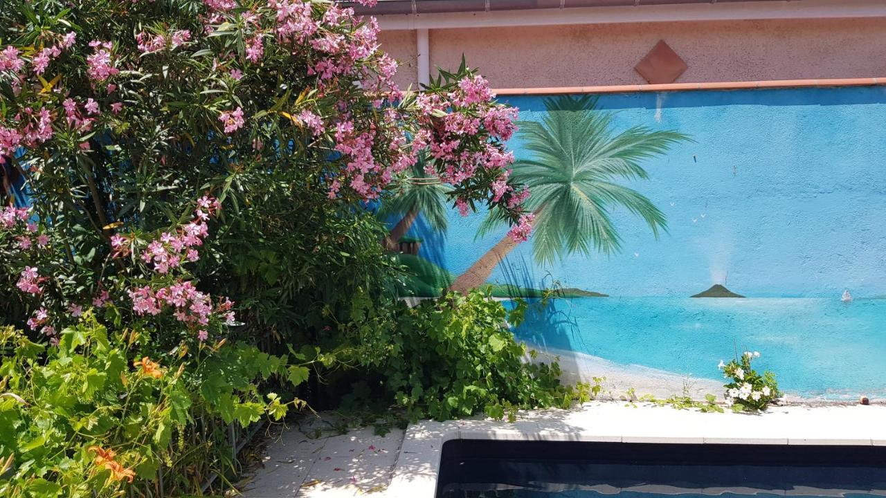 Appart Independant, 1 Lit Deux Personnes Et 1 Appoint Piscine Jardin Direct Gare Aeroport Et Jardin Toulouse Exterior foto