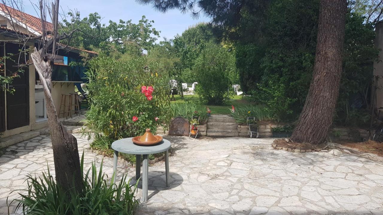 Appart Independant, 1 Lit Deux Personnes Et 1 Appoint Piscine Jardin Direct Gare Aeroport Et Jardin Toulouse Exterior foto