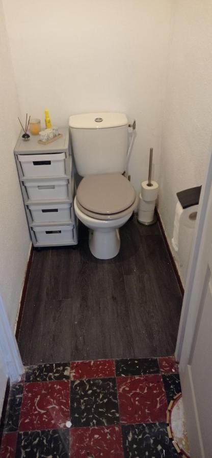 Appart Independant, 1 Lit Deux Personnes Et 1 Appoint Piscine Jardin Direct Gare Aeroport Et Jardin Toulouse Exterior foto